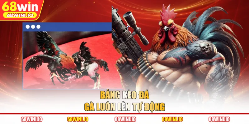 Bảng kèo đá gà luôn lên tự động